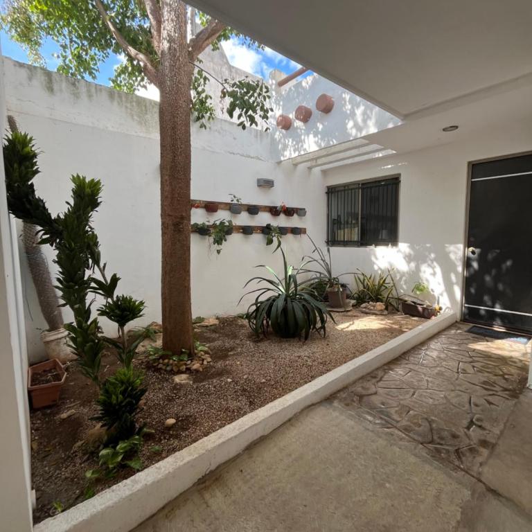 Casa luz - One-Bedroom House - 3