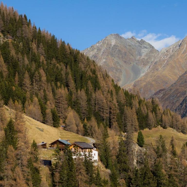 Leni Mountain Chalet - Chalet - 10