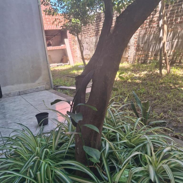 Los Lapachos - Two-Bedroom House - 12