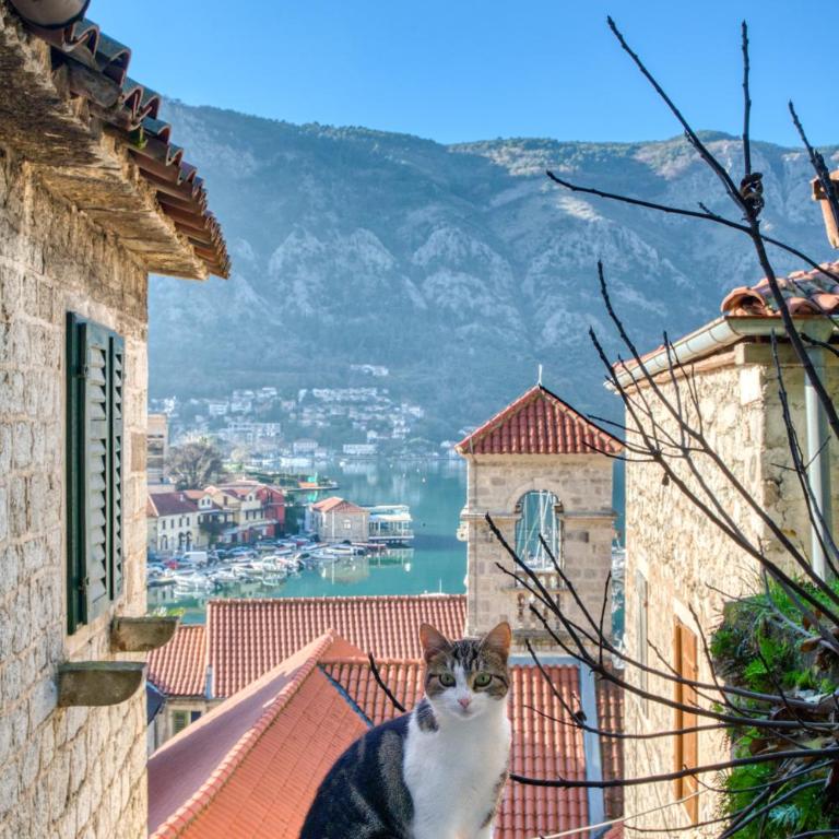 Kotor Lovers - Apartman sa 1 Spavaćom Sobom - 1