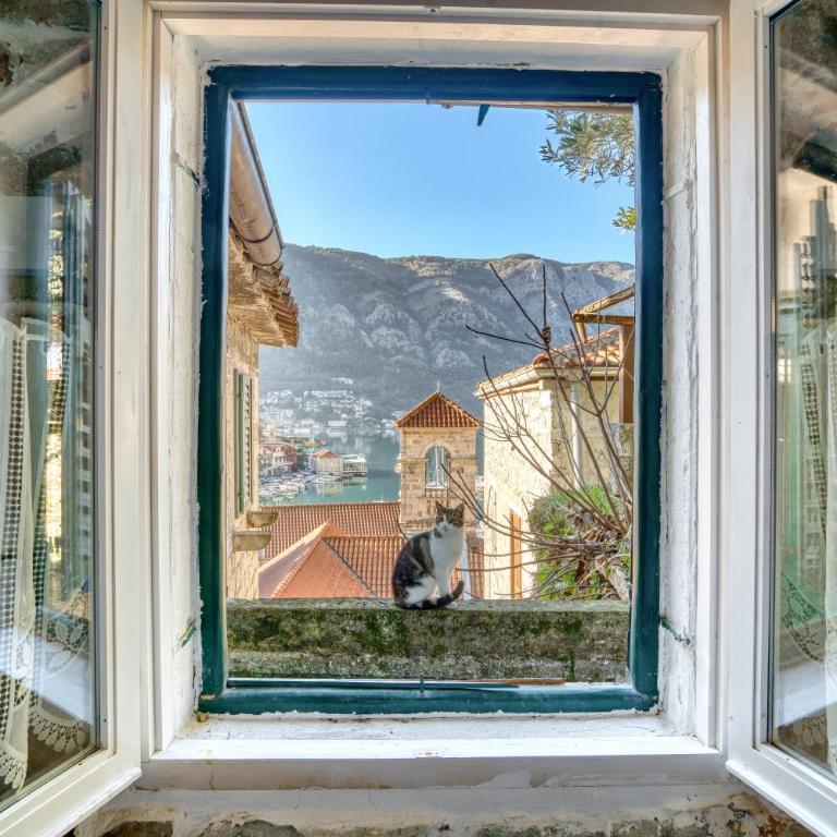 Kotor Lovers - Apartman sa 1 Spavaćom Sobom - 2