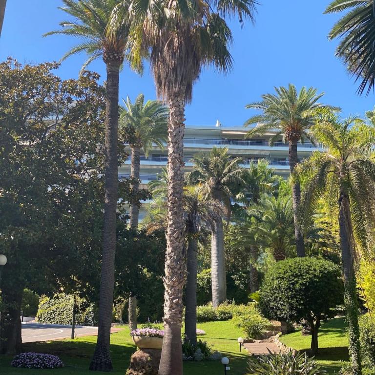 FRONT DE MER PANORAMIQUE Super Cannes - Appartement 1 Chambre - 5