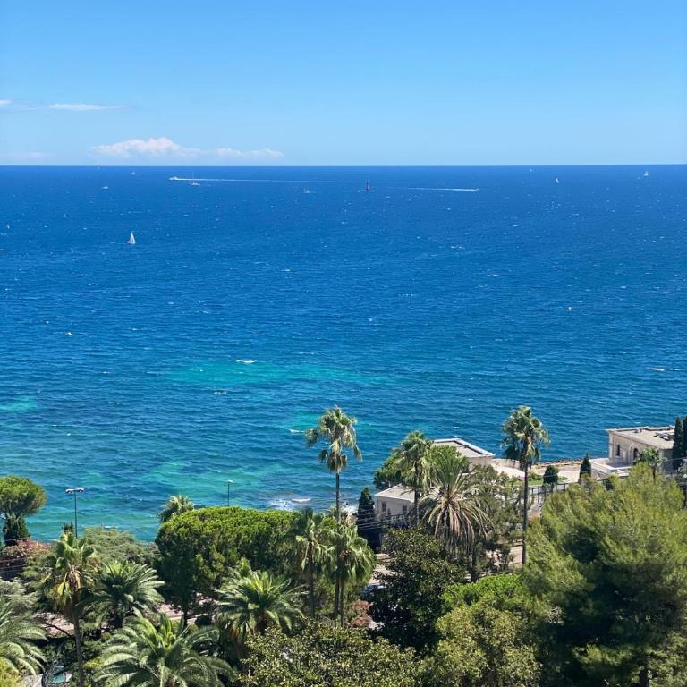FRONT DE MER PANORAMIQUE Super Cannes - Appartement 1 Chambre - 16