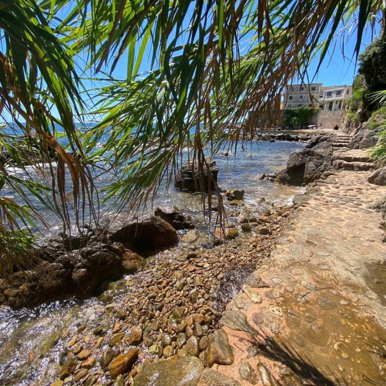 FRONT DE MER PANORAMIQUE Super Cannes - Appartement 1 Chambre - 19