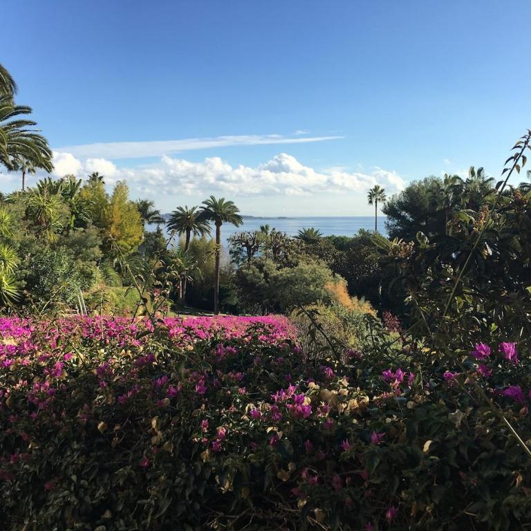 FRONT DE MER PANORAMIQUE Super Cannes - Appartement 1 Chambre - 26