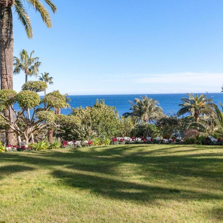 FRONT DE MER PANORAMIQUE Super Cannes - Appartement 1 Chambre - 45