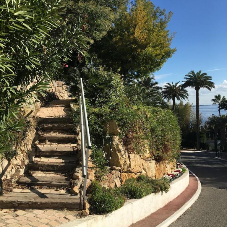 FRONT DE MER PANORAMIQUE Super Cannes - Appartement 1 Chambre - 46