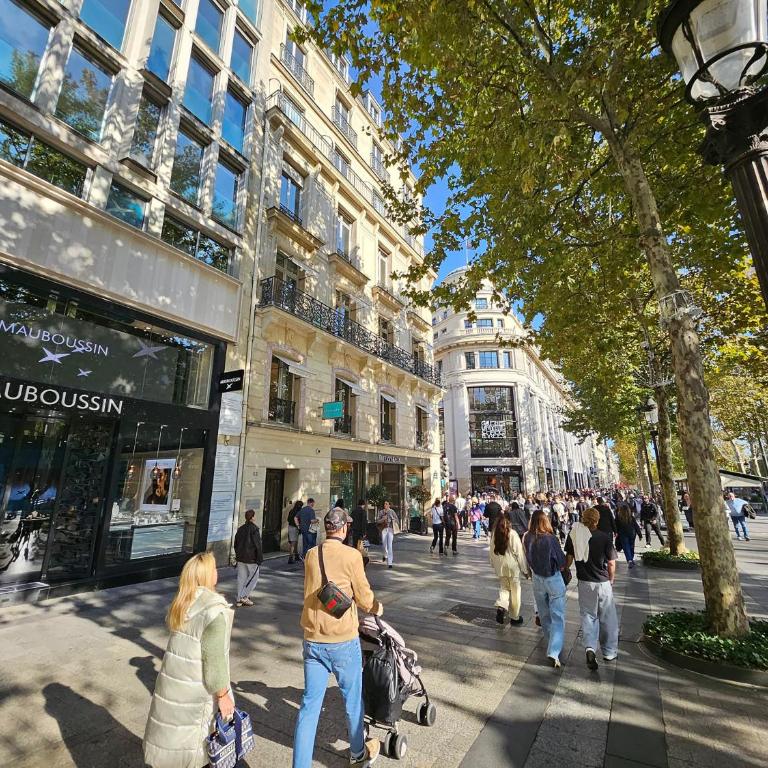 UrbanFlat 128 - Champs-Elysees Penthouse Apartment - Appartement - 5