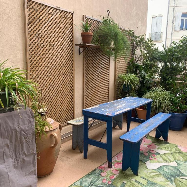 Grand appartement, terrasse, centre-ville - Appartement 1 Chambre - 2