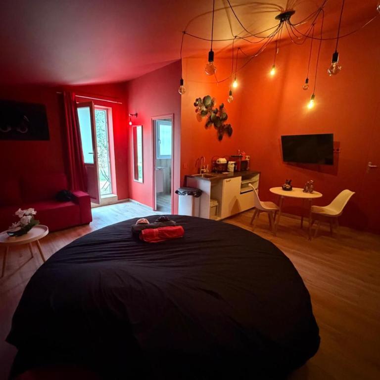 Love Room- Jacuzzi XXL- Climatisé- Table massage Accessoires - Appartement 1 Chambre - 2