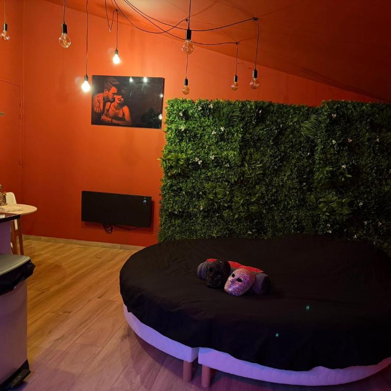 Love Room- Jacuzzi XXL- Climatisé- Table massage Accessoires - Appartement 1 Chambre - 8