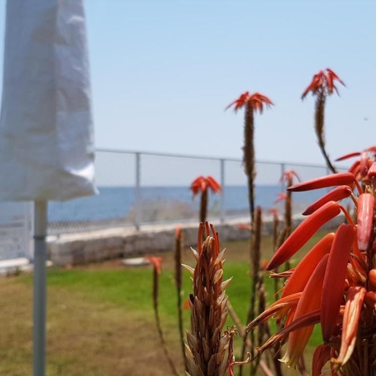 Case Vacanza Marzano - Appartamento con 2 Camere da Letto, Balcone e Vista mare - 26