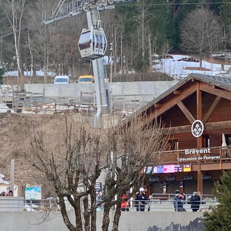 Superbe T3- Vue Mont-Blanc- Au pied du Brévent- Chamonix - Appartement 2 Chambres - 9