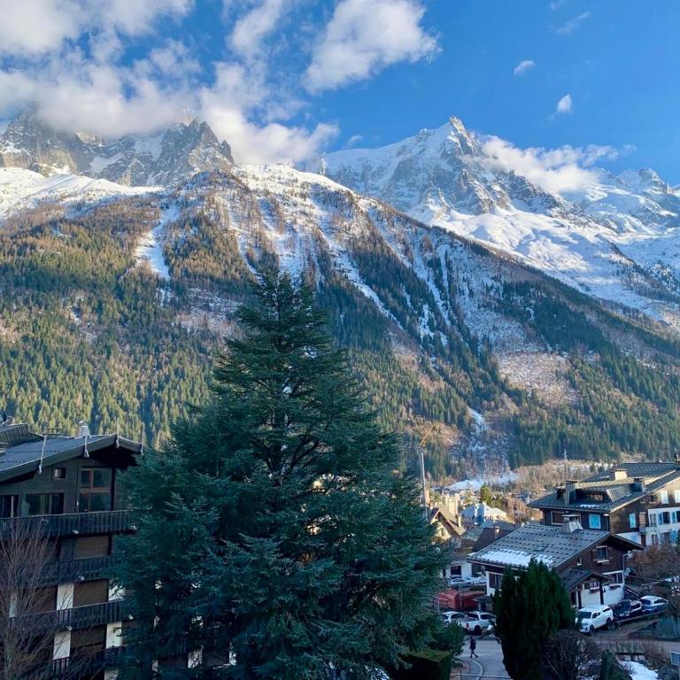 Superbe T3- Vue Mont-Blanc- Au pied du Brévent- Chamonix - Appartement 2 Chambres - 10