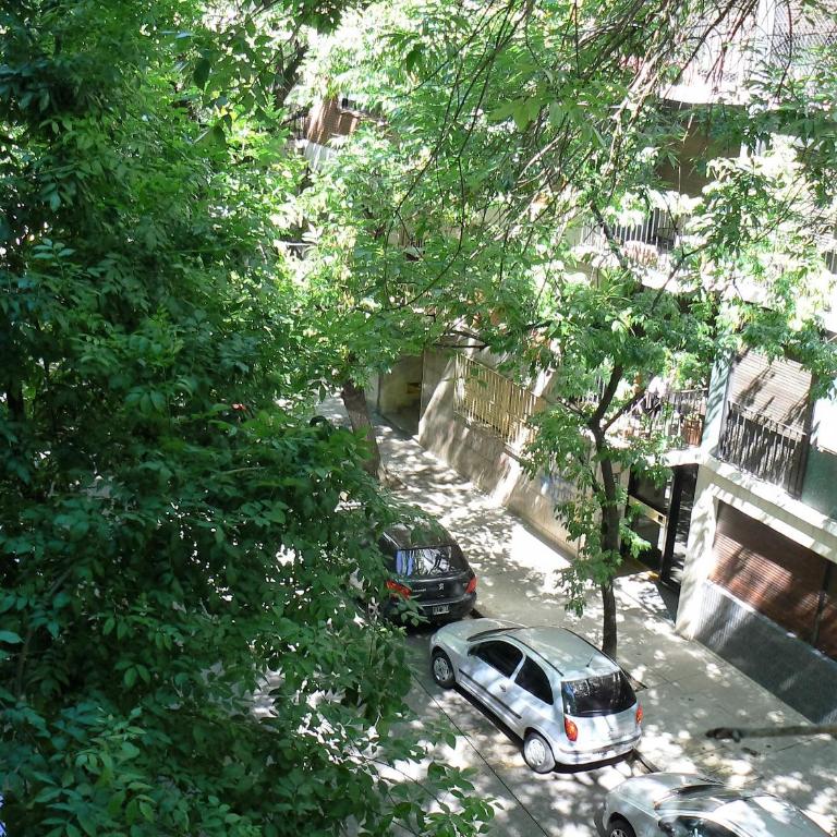 Palermo Soho - Apartamento - 50