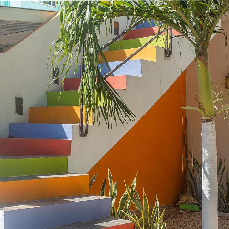 Estudios con Alberca-Cocina Privadas en Zona Norte - Family Studio - 23