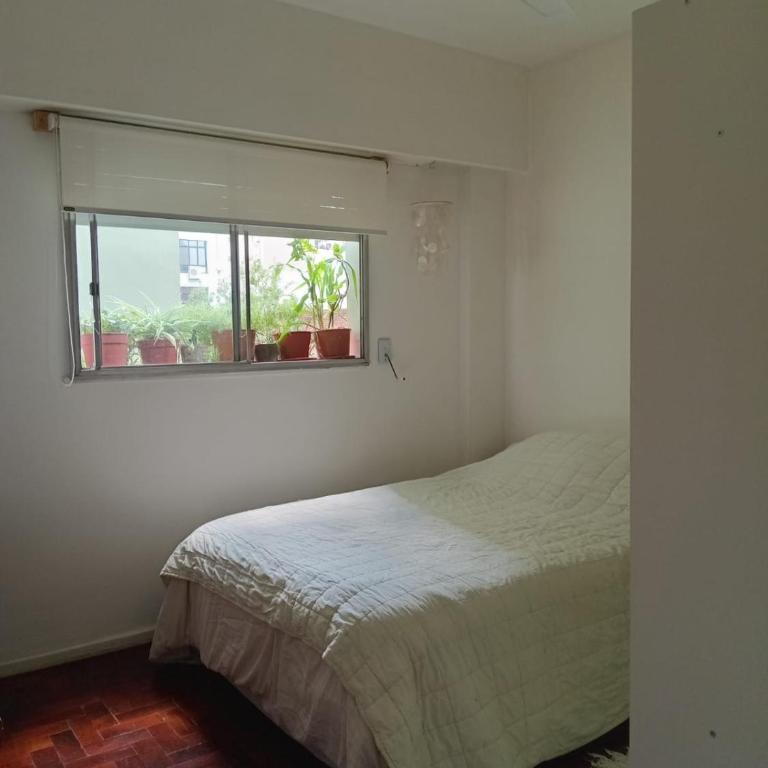 Alojamiento de 2 dormitorios en pleno San Telmo Luminoso y confortable - Apartamento de 2 dormitorios - 14