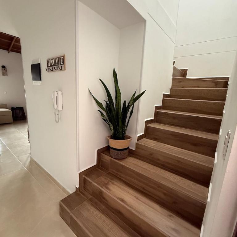 Enjoy an unforgettable stay in Jardin - Two-Bedroom Apartment - 9