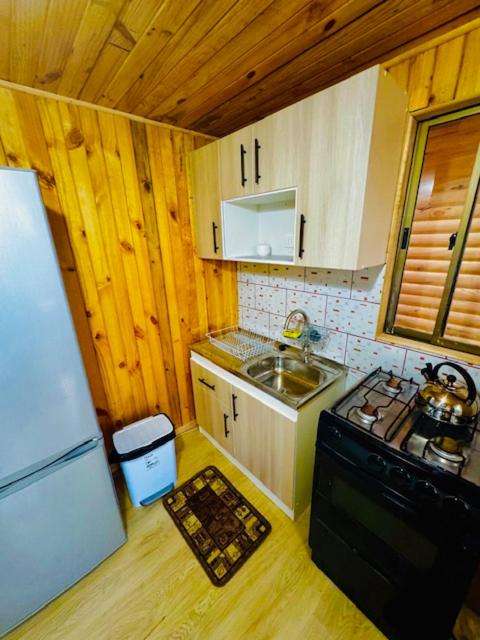 Cabañas Dos Espejos - One-Bedroom Apartment - 6