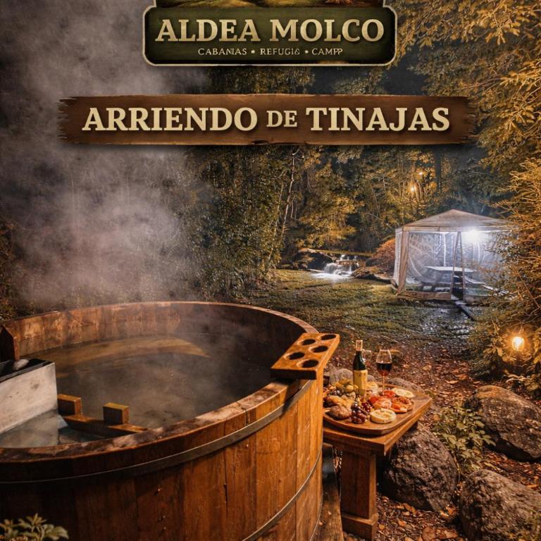 La Camelia Aldea Molco - Apartamento de 1 dormitorio - 7