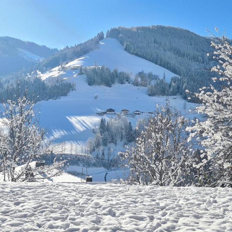 Royal Mountain Lodge- Chalet in Mühlbach am Hochkönig-10 Personen- Sauna- Wallbox- Ski Amadé- HochkönigCard- Guest Mobilty Ticket - Chalet - 51
