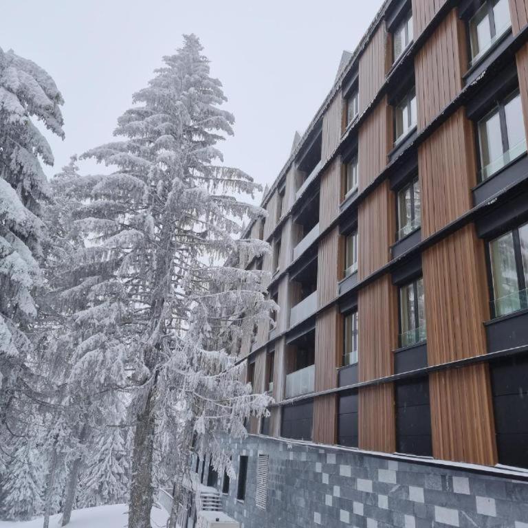 Woodside Kopaonik MB Apartments - One separate bedroom, Free Parking, Wellness and Spa, Ski-in - Ski-out - One-Bedroom Apartment - 1