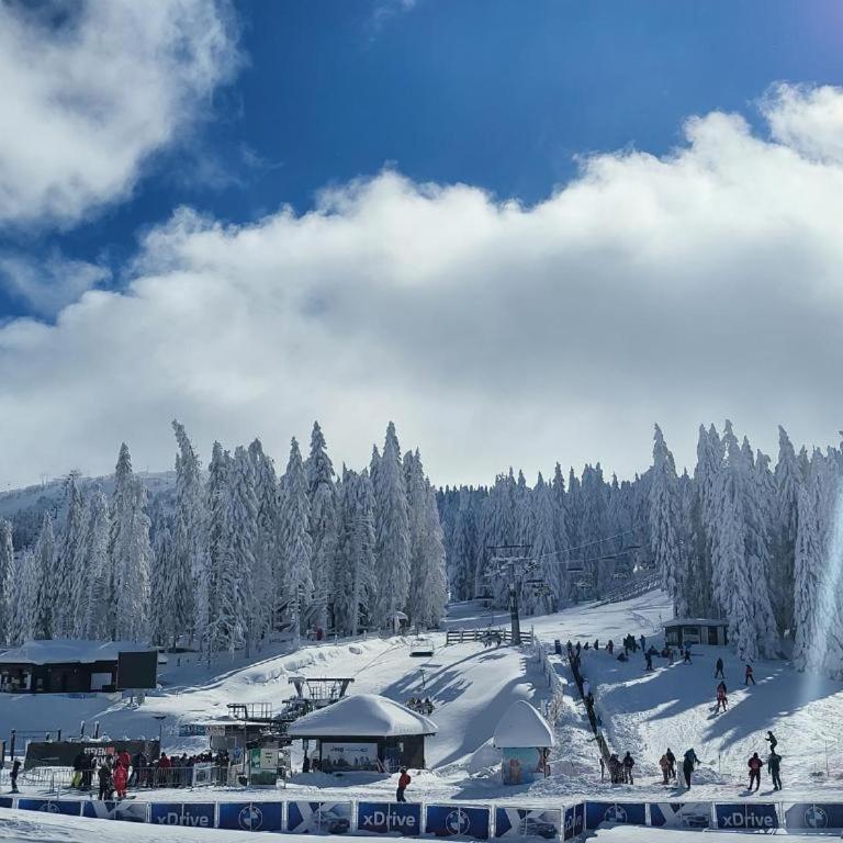 Woodside Kopaonik MB Apartments - One separate bedroom, Free Parking, Wellness and Spa, Ski-in - Ski-out - One-Bedroom Apartment - 11