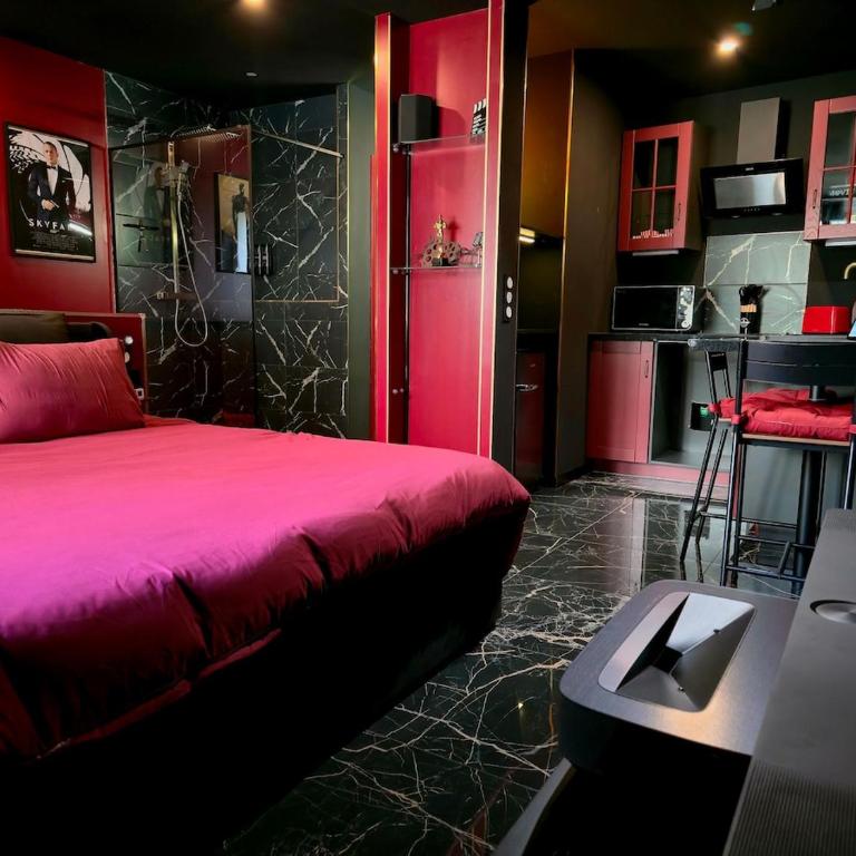 Studio Cinéma privé Centre ville & King size - One-Bedroom Apartment - 7