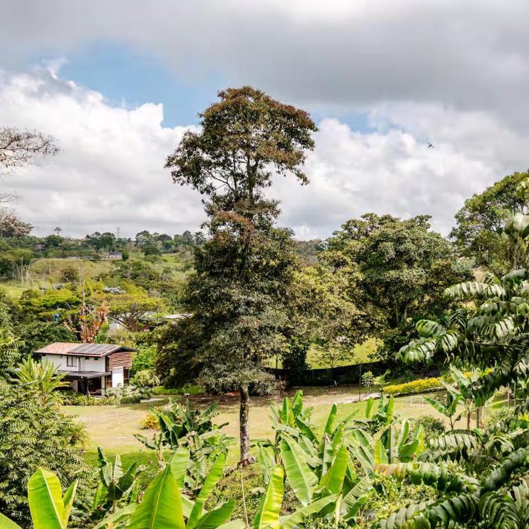 Cabaña Contenedor cerca de Armenia - Two-Bedroom House - 8