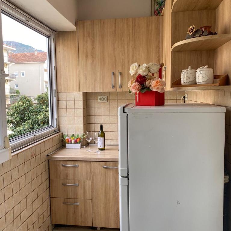 ApartmanDavid - Apartman sa 1 Spavaćom Sobom - 4