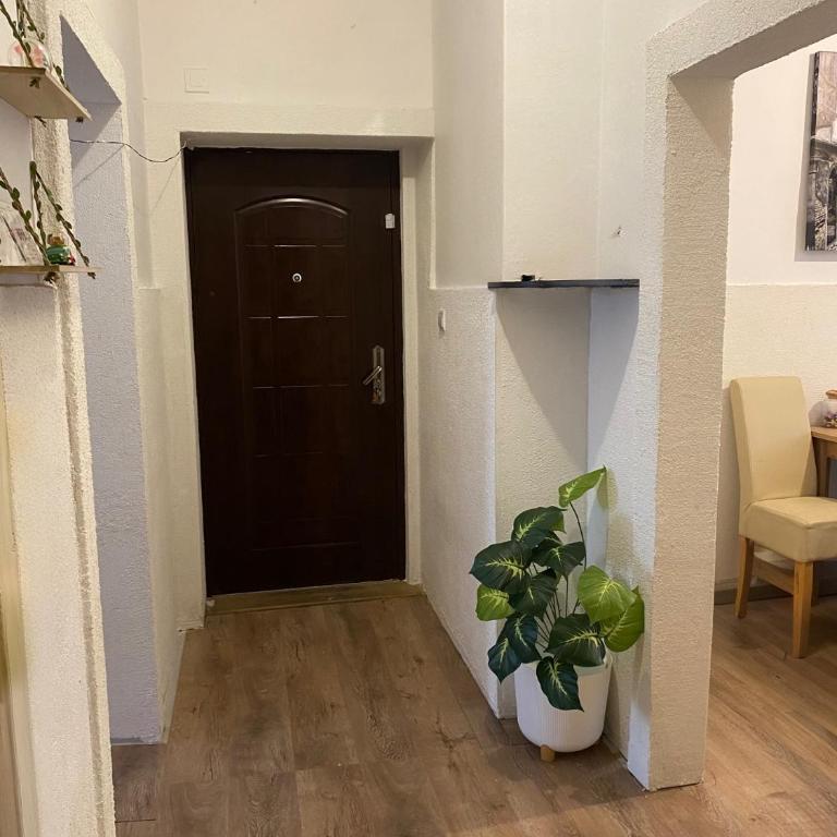 ApartmanDavid - Apartman sa 1 Spavaćom Sobom - 3
