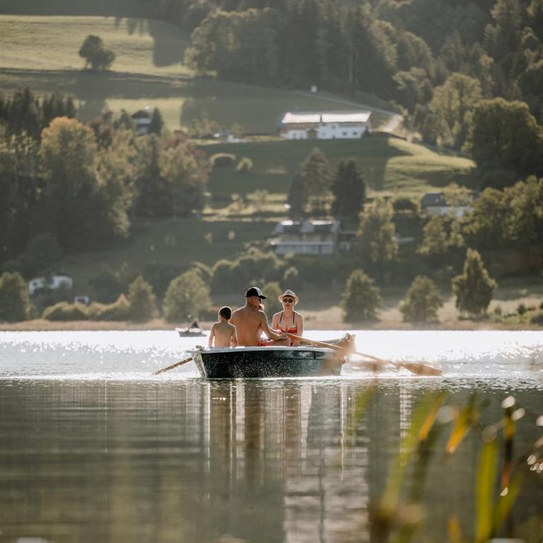 Furtlhof mit Privatbadeplatz - Maison de Vacances - 2