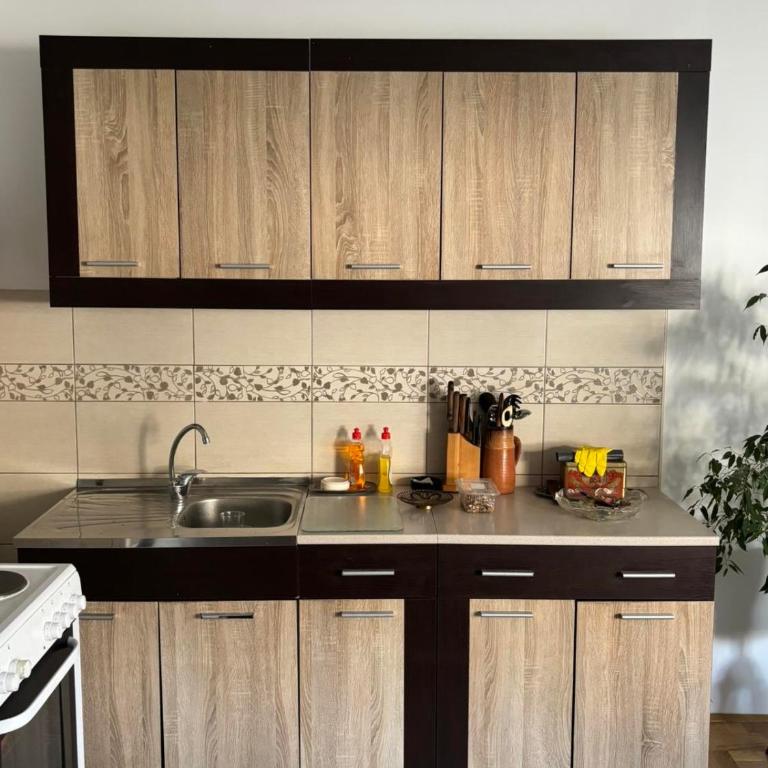 Lana - Apartman sa 1 Spavaćom Sobom - 9