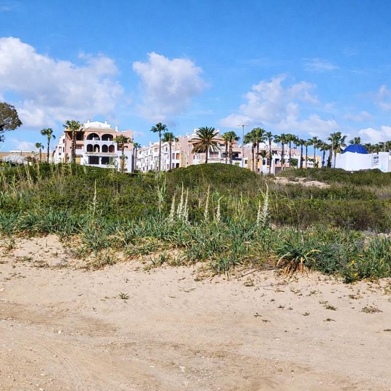Oceanfront duplex penthouse - Three-Bedroom Apartment - 23