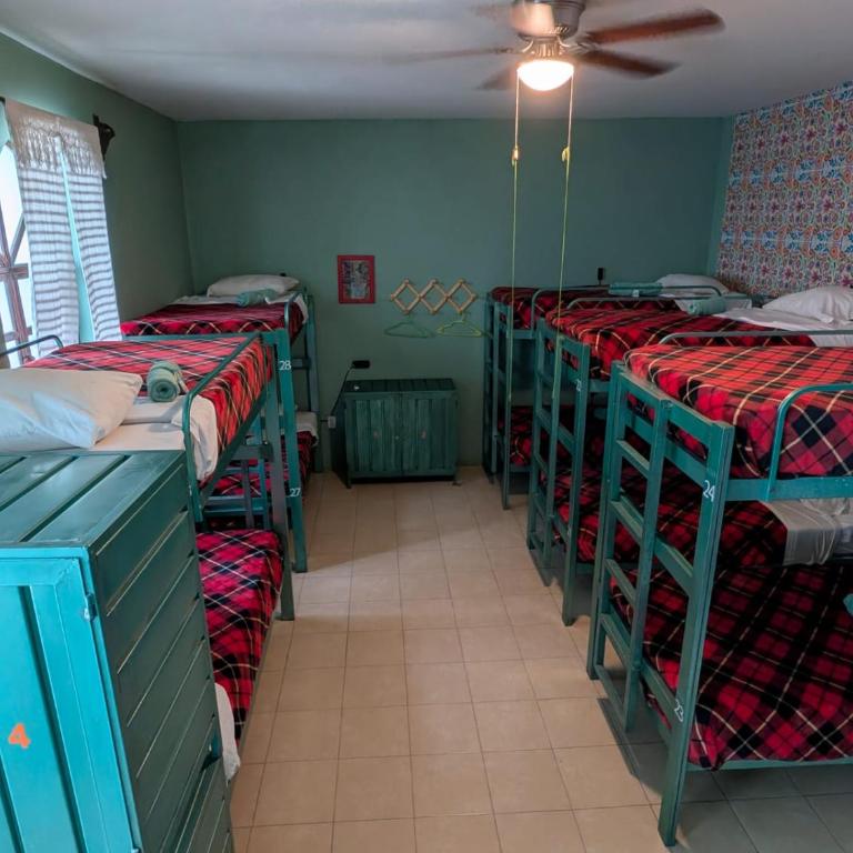 Hierba De Conejo Hostel - Cama en habitación compartida de 12 camas - 1