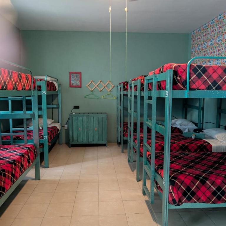 Hierba De Conejo Hostel - Cama en habitación compartida de 12 camas - 3
