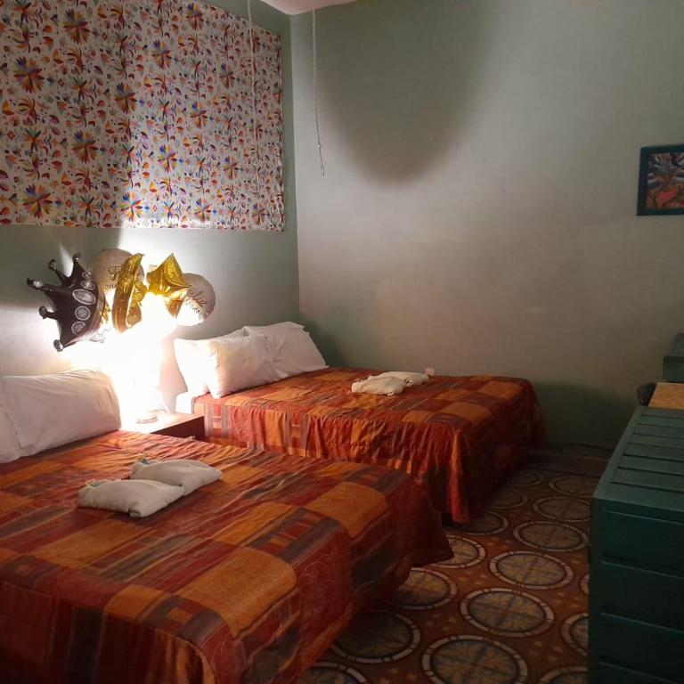 Hierba De Conejo Hostel - Habitación Familiar - 2