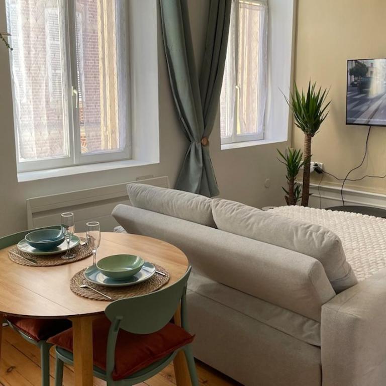 L'Alexandrine, Cozy cocoon in downtown Amiens - One-Bedroom Apartment - 5
