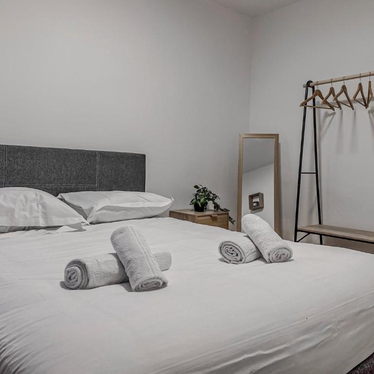 Le Michels - Gare - CEA - STMicro - Appartement 2 Chambres - 16