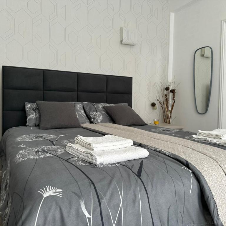 Sofy apartman - Apartman sa 1 Spavaćom Sobom - 2