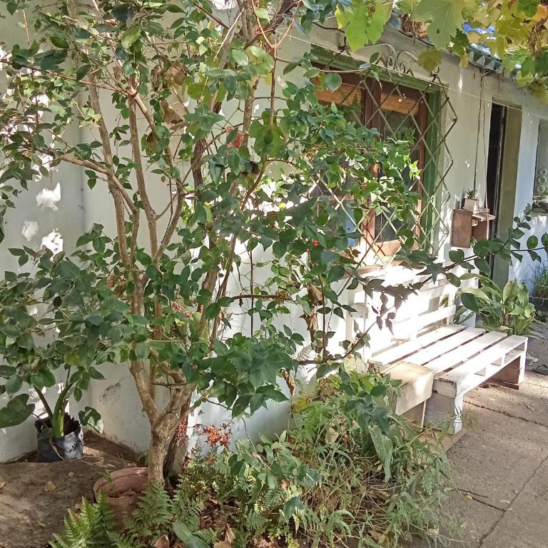 Casa Jardín a media cuadra del Mar - One-Bedroom House - 15