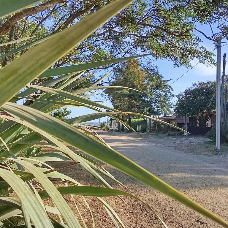 Casa Jardín a media cuadra del Mar - One-Bedroom House - 14