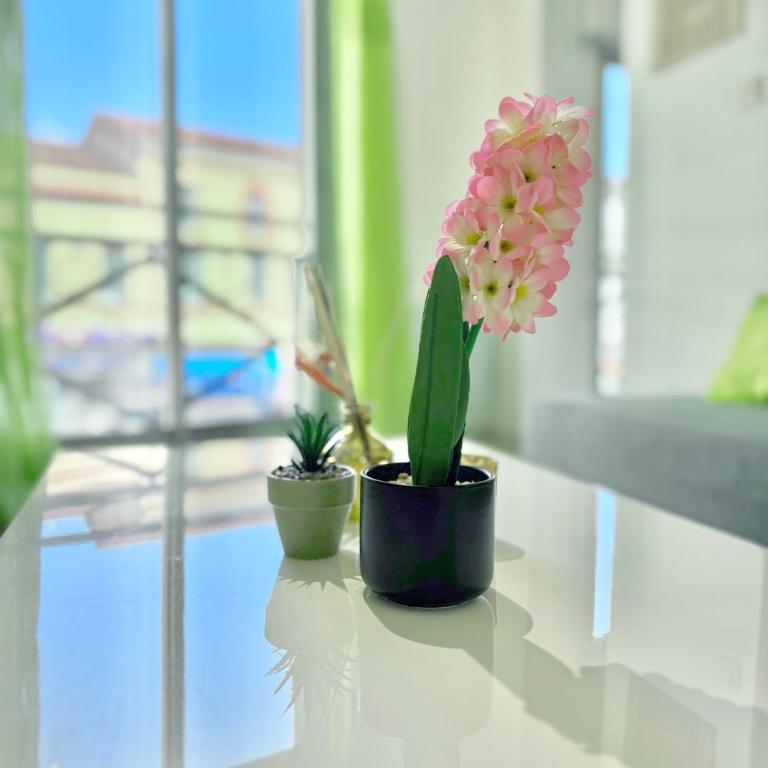 T2 Confort - Parking - Avenue Camille Pujol - Appartement 1 Chambre - 20