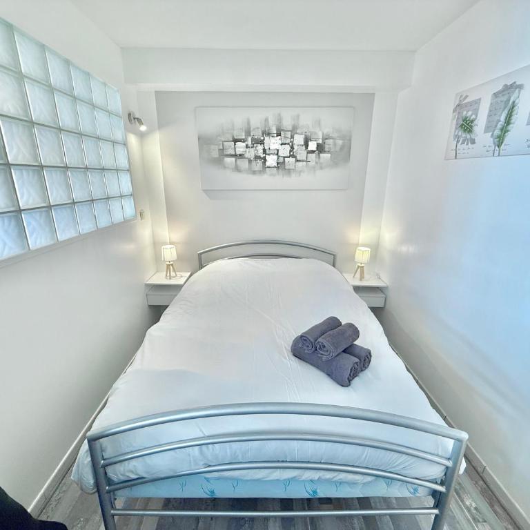 T2 Confort - Parking - Avenue Camille Pujol - Appartement 1 Chambre - 5