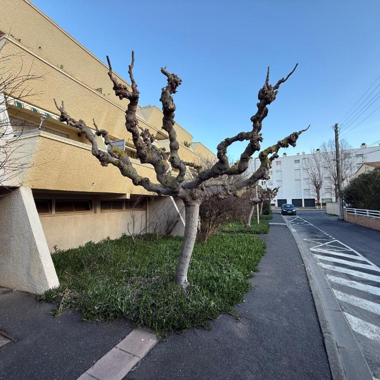 t2 dans résidence 100M de la mer avec 2 terrasses - Apartamento de 1 dormitorio - 13