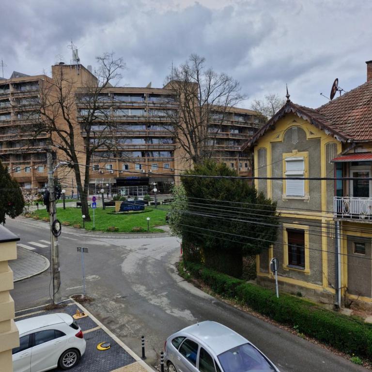 VIRTUS apartmani Vrnjačka Banja centar - Apartman s 1 Spavaćom Sobom i Terasom - 45
