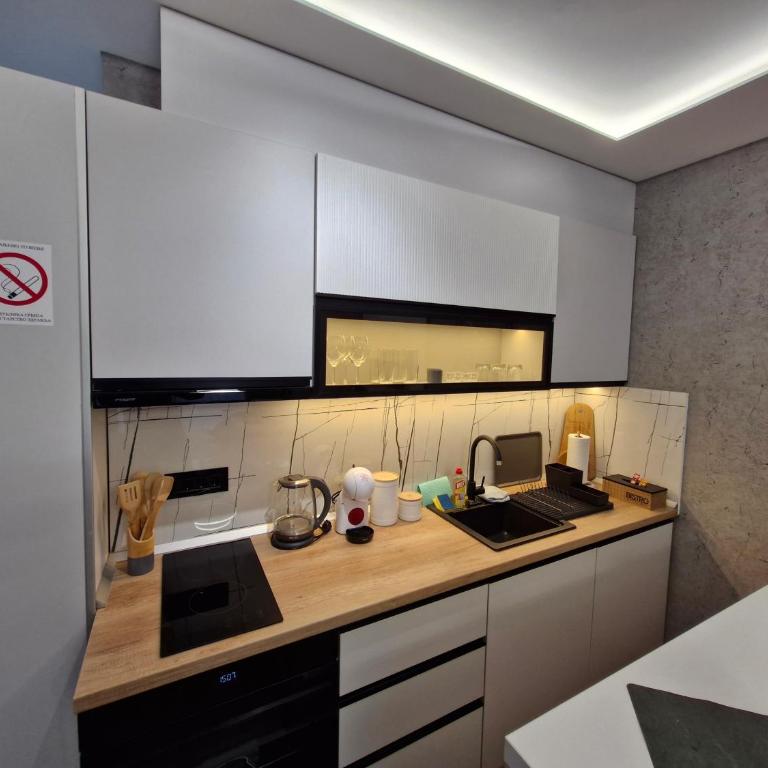 VIRTUS apartmani Vrnjačka Banja centar - Apartman s 1 Spavaćom Sobom i Terasom - 4