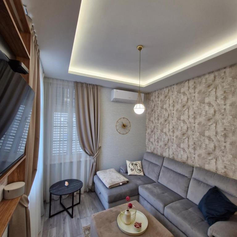 VIRTUS apartmani Vrnjačka Banja centar - Apartman sa 1 Spavaćom Sobom – Nepušački - 10
