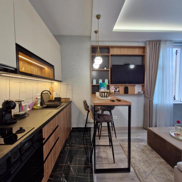 VIRTUS apartmani Vrnjačka Banja centar - Apartman sa 1 Spavaćom Sobom – Nepušački - 14