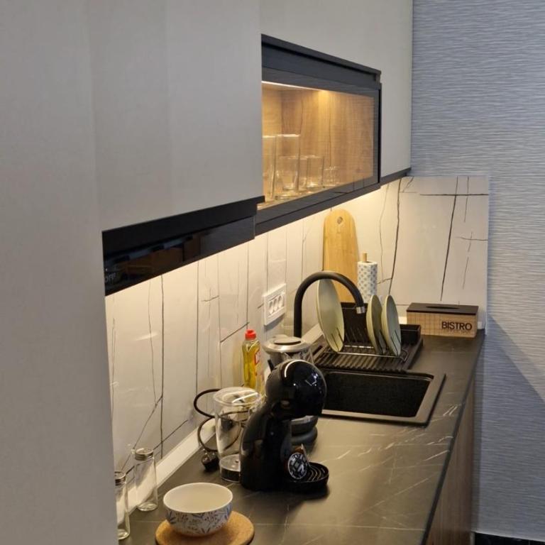 VIRTUS apartmani Vrnjačka Banja centar - Apartman sa 1 Spavaćom Sobom – Nepušački - 18